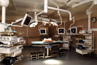 Liver Transplant India